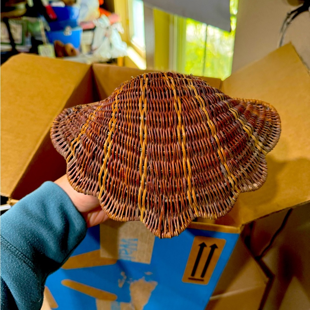 Seashell wicker container